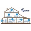 z-wawe